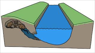 Why do the rivers bend