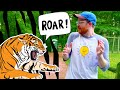 TIGER ON THE LOOSE 🐅  at the Zoo!! Lions and Tigers at the Zoo for Kids | Zoo Animals | Educational Mp3 Song