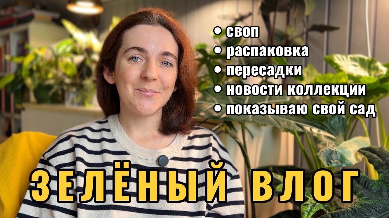 Много новых растений, зелёный СВОП, пересадки, новости коллекции, прогулка по саду.