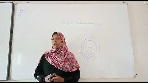 Structure of anatropous ovule