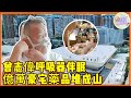 曾志偉億萬豪宅竟是高級病房,呼吸器續命驚爆全網!!#神奇的朋友 #李若彤 #曾志伟 #阿娇 #阿sa #twins #纪凌尘 #孟鹤堂