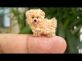 7 Razas de Perros Miniaturas Más Caros Del Mundo