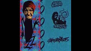 skinwalker14 / Soup Need Donuts / MC LIXOY - Babka Musca Domestica EP (Full EP)