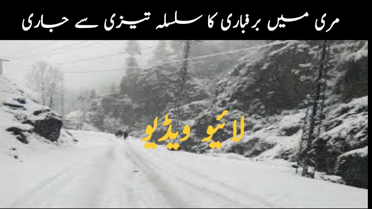 Murree live  snowfalling