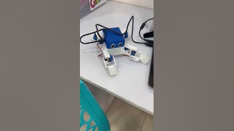 Get a sneak peek of Leap Robots