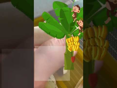 YouTube player