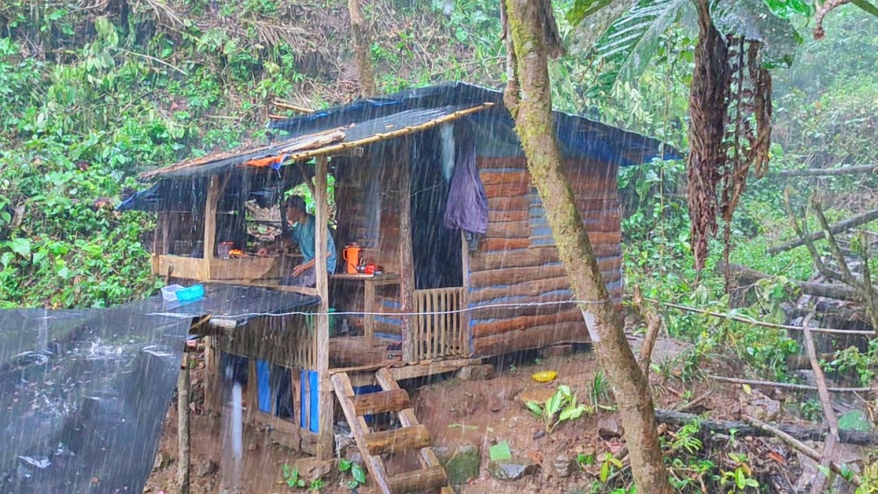 Mencekam 😱 4 Hari Hujan Deras Dan Petir Nonstop - Bertahan Hidup Di Hutan Menanam Sayur Dan Berkebun