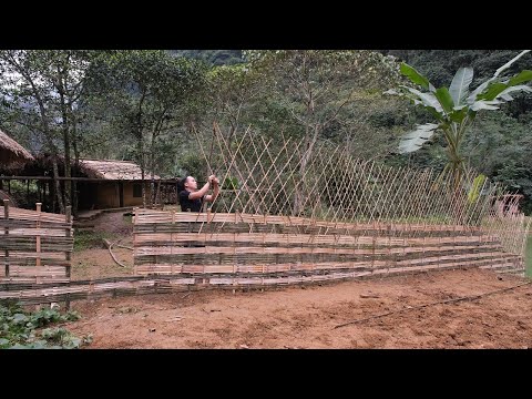 Video: Kuřata a chladné počasí: péče o kuřata v zimě