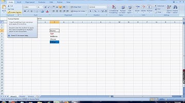 How to Use Format Painter Option in MS Excel (Malayalam Version)