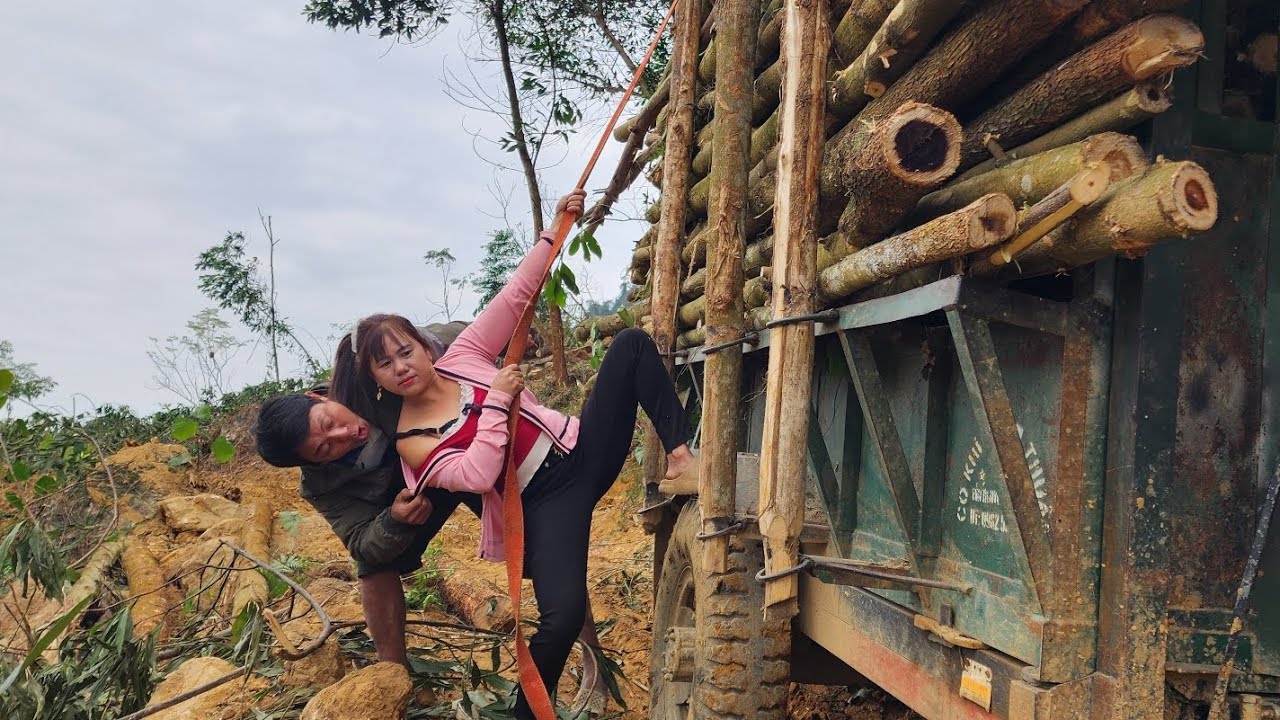 Agricultural vehicles transporting timber.