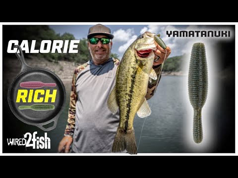 Soft Plastics Fishing 