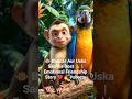 🐵 Bandar Aur Uska Sachha Dost 🦜 | Emotional Friendship Story ❤️🔥 #shorts #yotubeshorts
