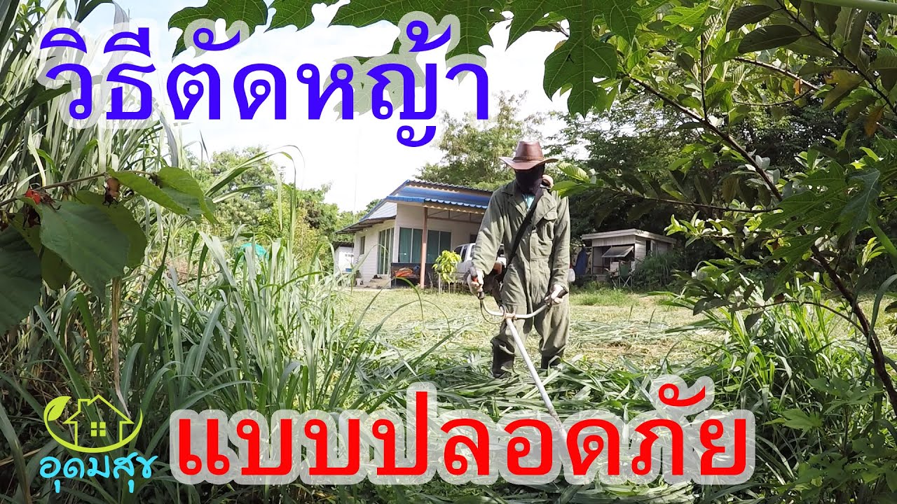 เครื่องตัดหญ้าแบบสะพายบ่ากับการใช้งานตัดหญ้าอย่างปลอดภัย วิธีเลือกใช้ใบตัดหญ้า