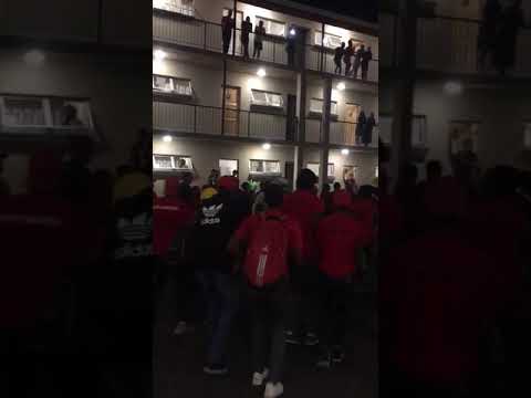 EFFSC BRANCH @DUT