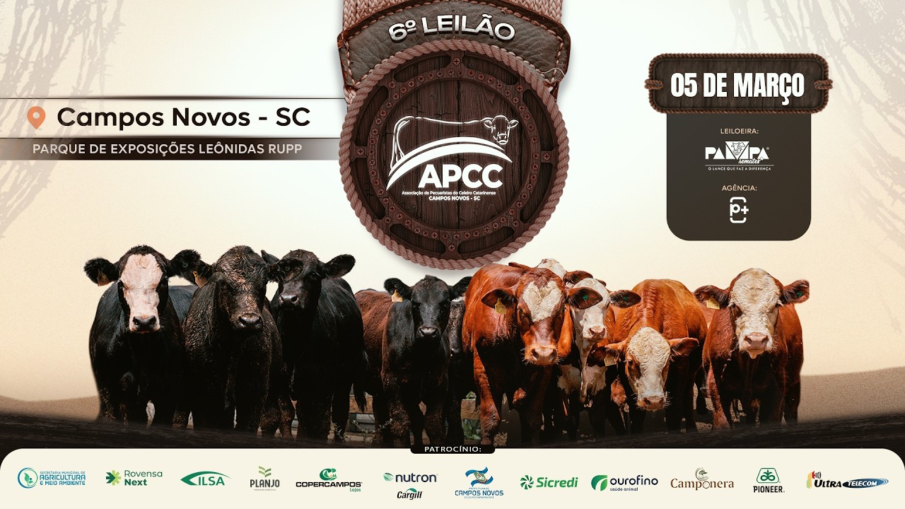 6° LEILÃO APCC (Associação de Pecuaristas do Celeiro Catarinense), CAMPOS NOVOS/SC - 05/03/2026 19h