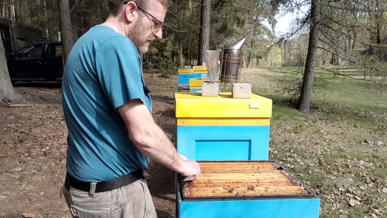 Mezerovitý plod -špatná matka, nebo jiné příčiny?  Ve videu o tom povídám :-)