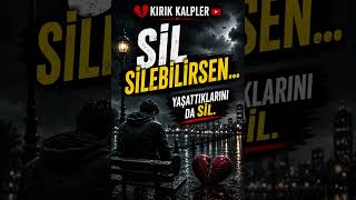 Sil silebilirsen
