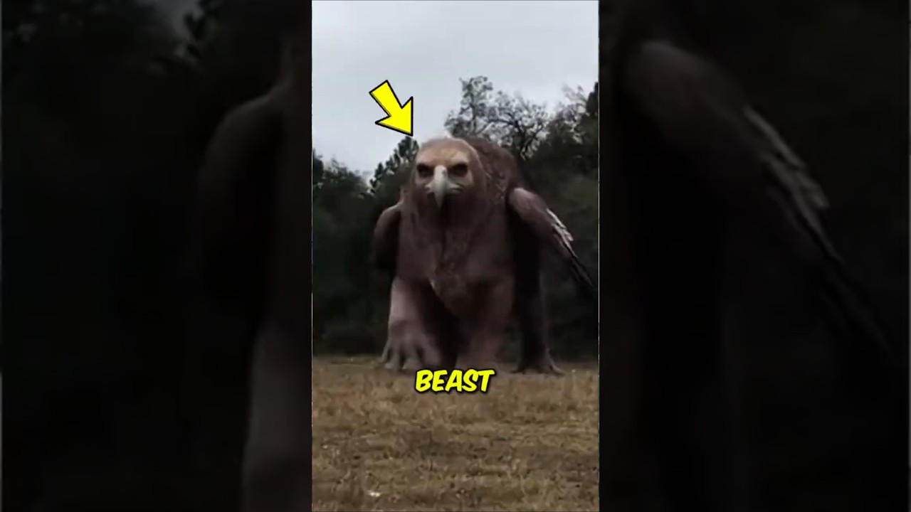 Top 3 Rarest Animals You’ll Never See Again 😳