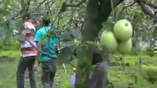 Adhenia Tour - Dppkad Kab. Wonosobo Jatim Trip