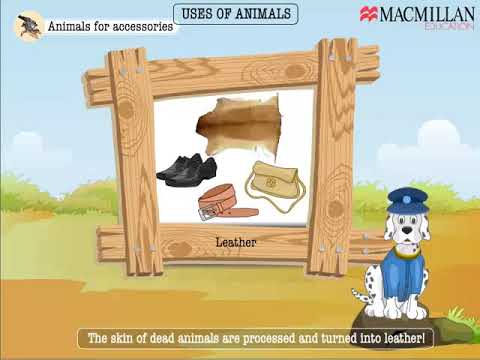Uses of Animals - YouTube