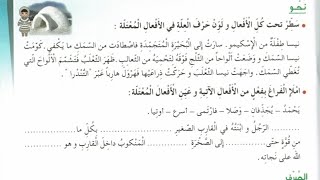 حل الصفحة 93 كراس النشاطات لغة عربية السنة الرابعة ابتدائي _الفعل الصحيح والمعتل _جمع المذكر السالم
