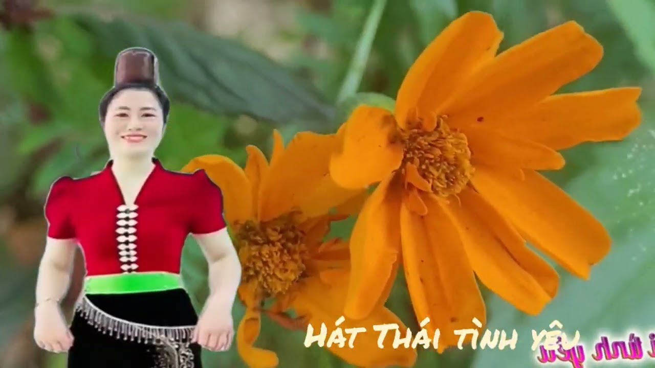 Nghe buồn quá hát Thái tình yêu 