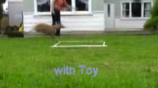 20090602 running aframe groundwork