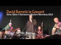 Feelin for the blues  david barrett live at steve bakers harmonica masters workshop