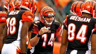 Cleveland Browns @ Cincinnati Bengals | November 17th 2013 | Week 11 | Madden 25
