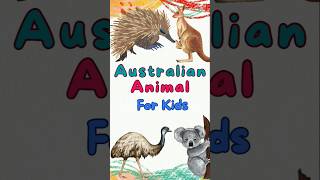 Australian Animals Names For Kids In English