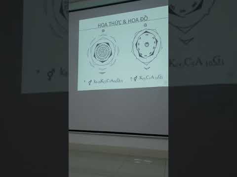 Hoa thức , Hoa đồ , TVD