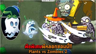 พืชพิเศษผีหลอกซอมบี้ Plants vs Zombies 2