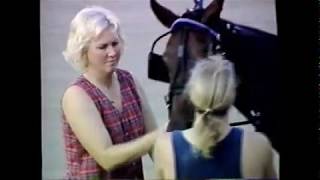 1997 Scioto Downs LB REPLY Jeff Fout Tompkins Geers 3YO C&G Trot $19,200