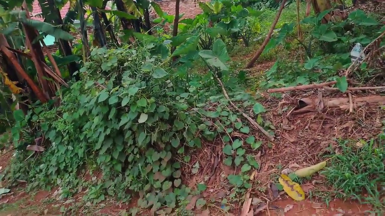 ikibanza ubuso600 kirimurikaritsiye nziza tel0787690288