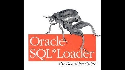 Como utilizar SQL Loader