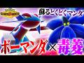 【相性抜群】環境最強メガを強く扱える『メガボーマンダ×キラフロル』が新時代に適応しました。【ポケモンチャンピオンズ】のサムネイル