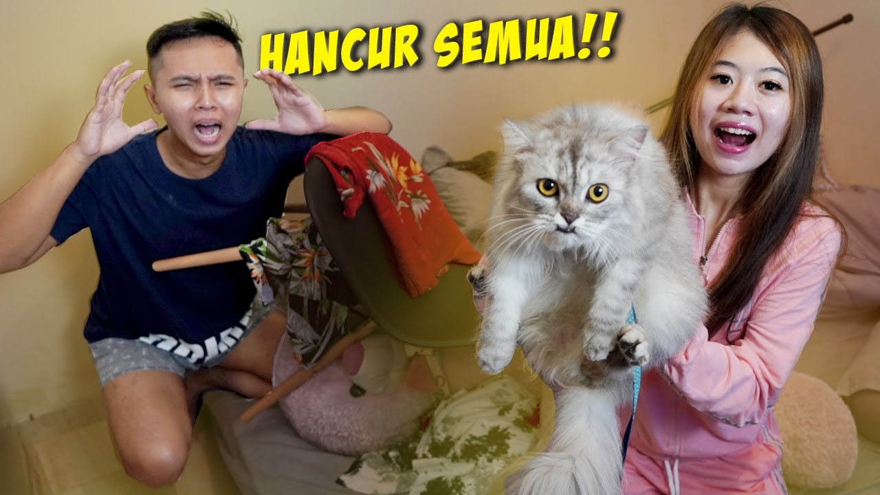 24 JAM DI KOS ZAINAL!!BAWA CIKU KUCING BUAT BERANTAKIN KAMAR!!
