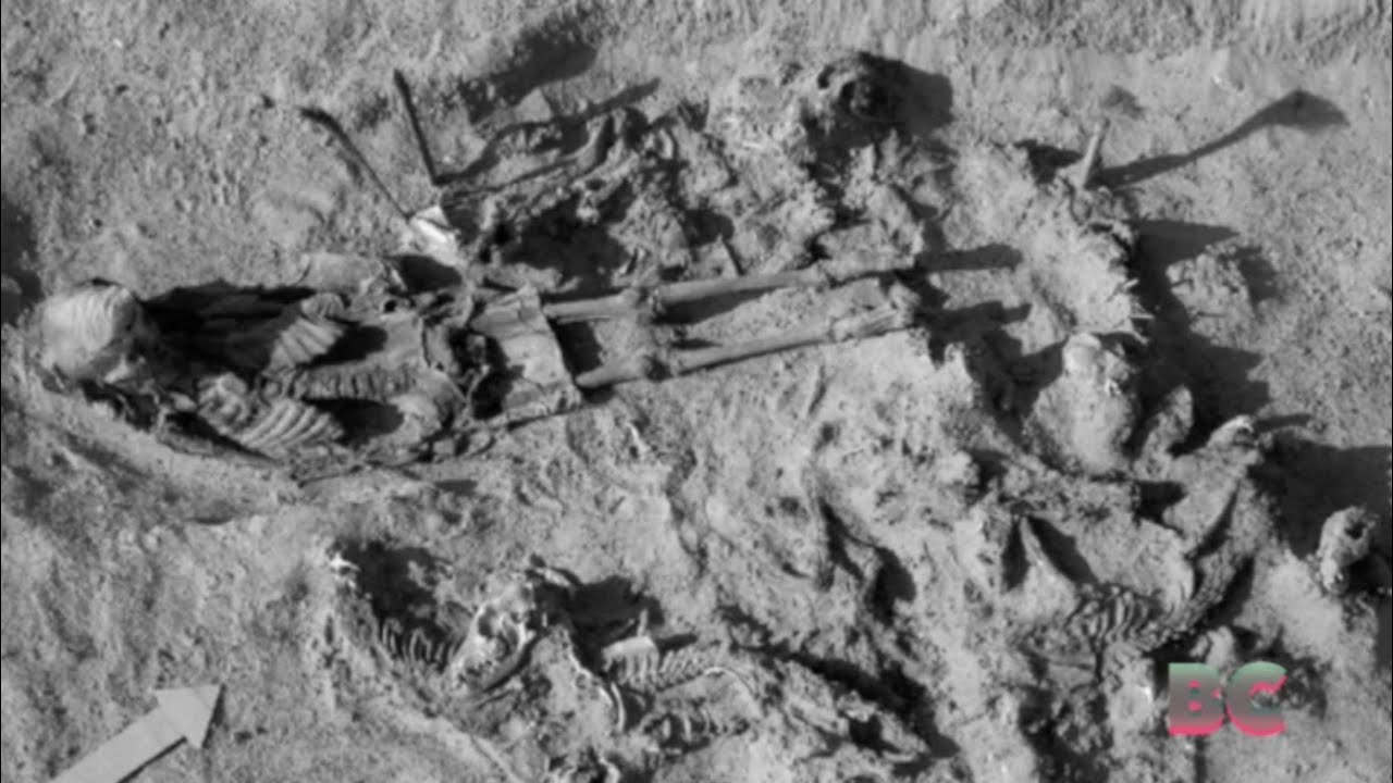 Why Is an Ancient Egyptian Mass Grave of Dogs ‘Stumping Archaeologists’?