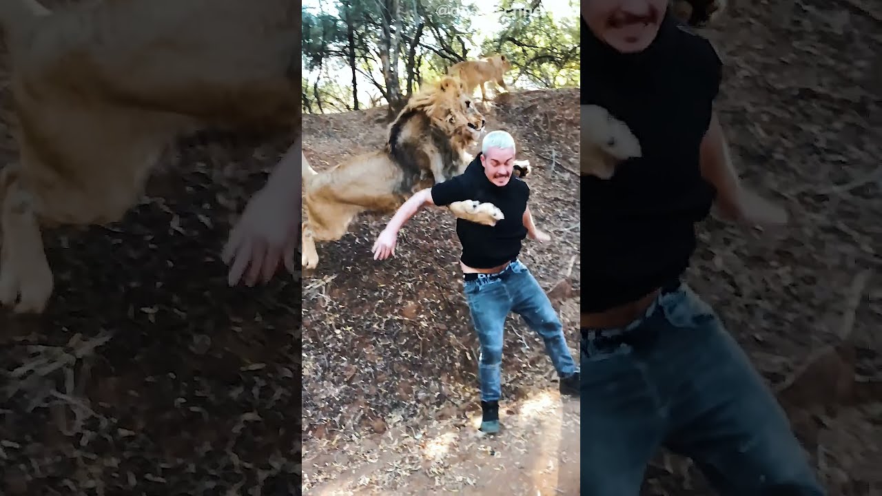 Lion Business 