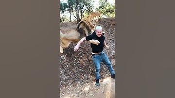 Thumbnail of Lion Business🦁