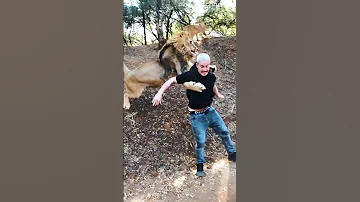 Lion Business 