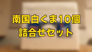 【ふるさと納税返礼品】南国白くま10個詰合せセット【開封】