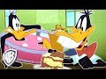 Looney Tunes en Latino | Lucas, el ñoño | WB Kids
