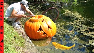 GIANT PUMPKIN FISH TRAP! **Finally Catching cursed Fish in Halloween**