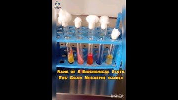 5 Biochemical test | Identification of Bacteria | GNB #bacteriology #Microbiology