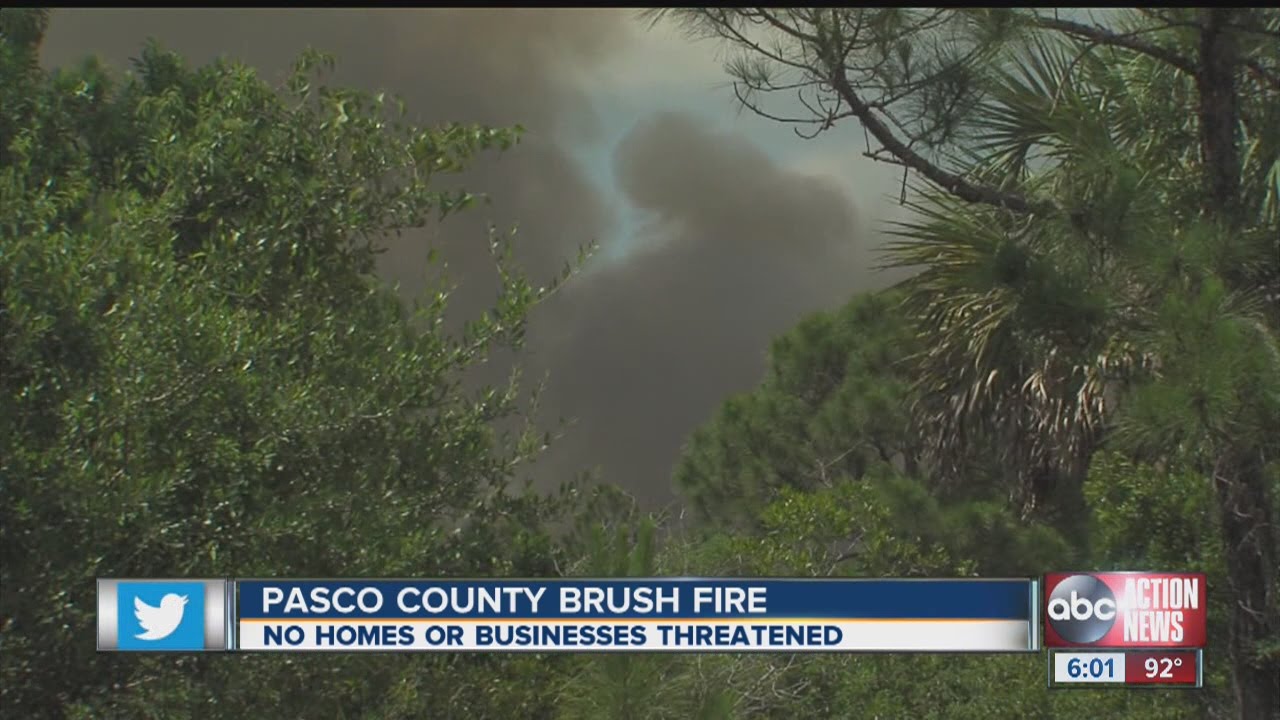 Pasco County brush fire - YouTube