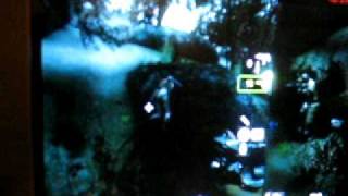 The witch glitch L4D2