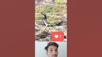 saamp and sapne bholenath status mahakal #shiv#status #snake #funny #mahadev