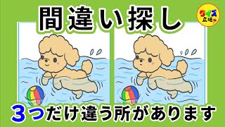【簡単にできる脳トレ】間違い探し！３つの間違いを見つけよう！vol.105