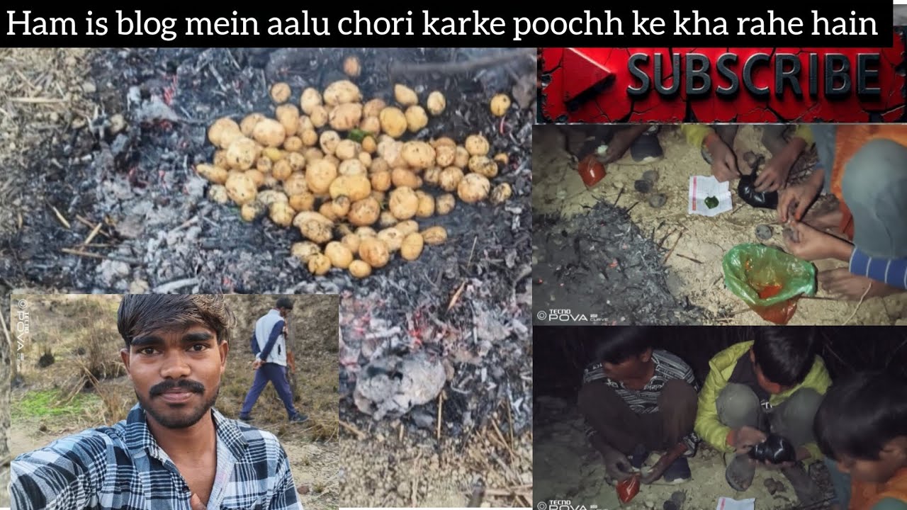 Hamare blog main swagat hai aalu chori karke Bhuj ke kha rahe hain
